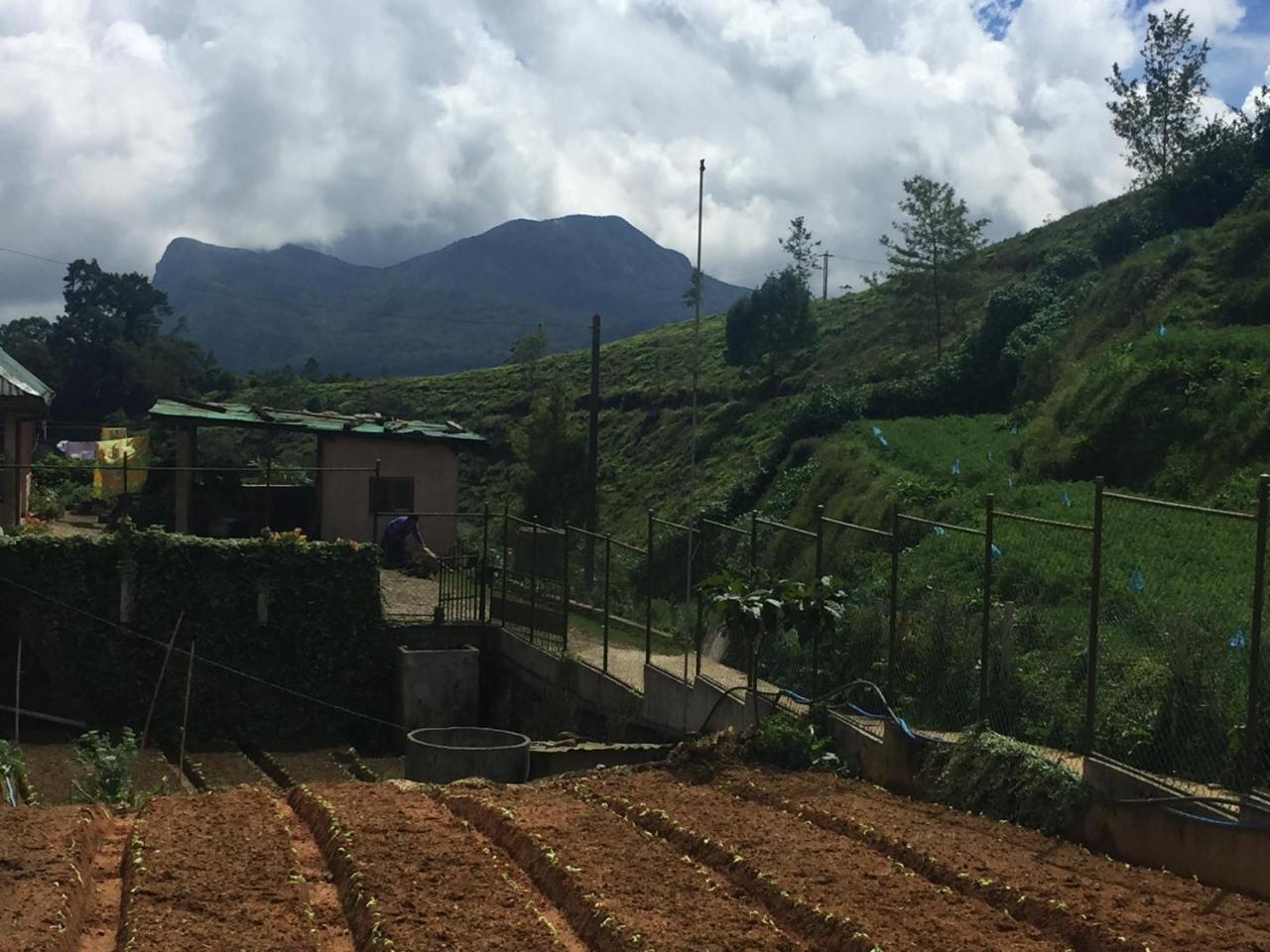 Chandrasobana Nuwara Eliya Luaran gambar